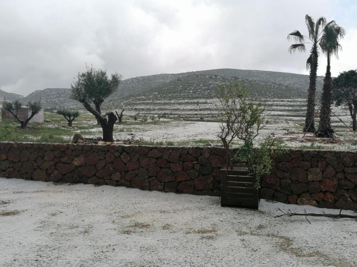Apartamentos Madreselva Fernan Perez المظهر الخارجي الصورة